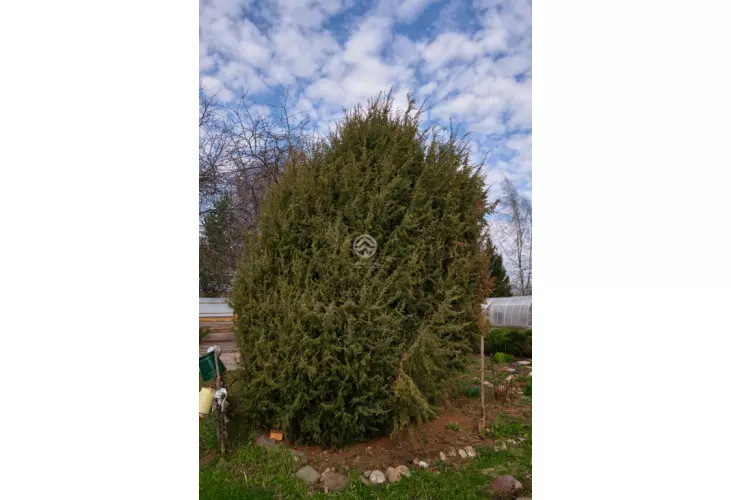 Продажа, дом, Шипулино, 180 кв.м, 15 сот