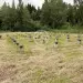 Продажа, участок, Ксенон, 1200 сот