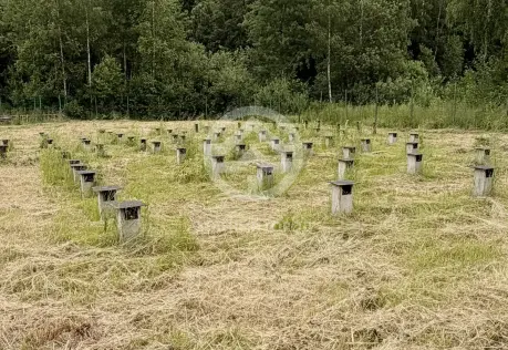 Продажа, участок, мкр Ксенон, 1200 сот