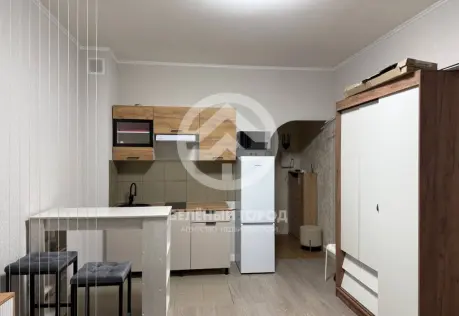 Продажа, студия, деревня Голубое, Трехсвятская, д. 6