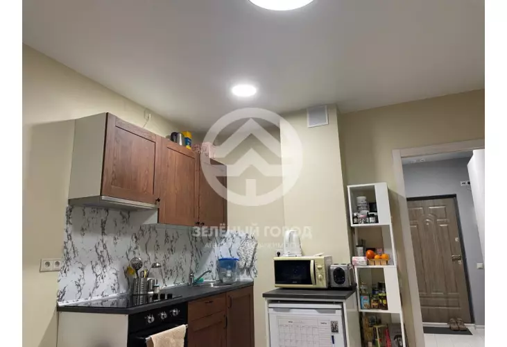 Продажа, 1 к. квартира, деревня Голубое, Сургутский проезд, д. 1, к. 1