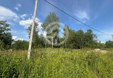 Продажа, участок, Высоковск, 15 сот