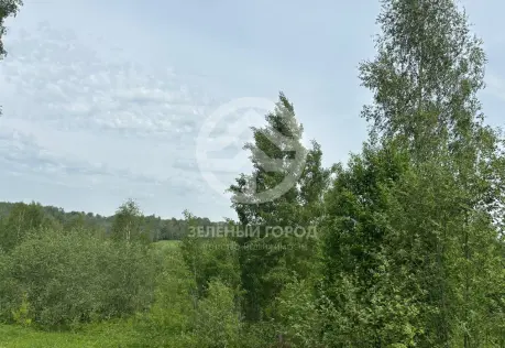 Продажа, участок, Струбково, 16 сот