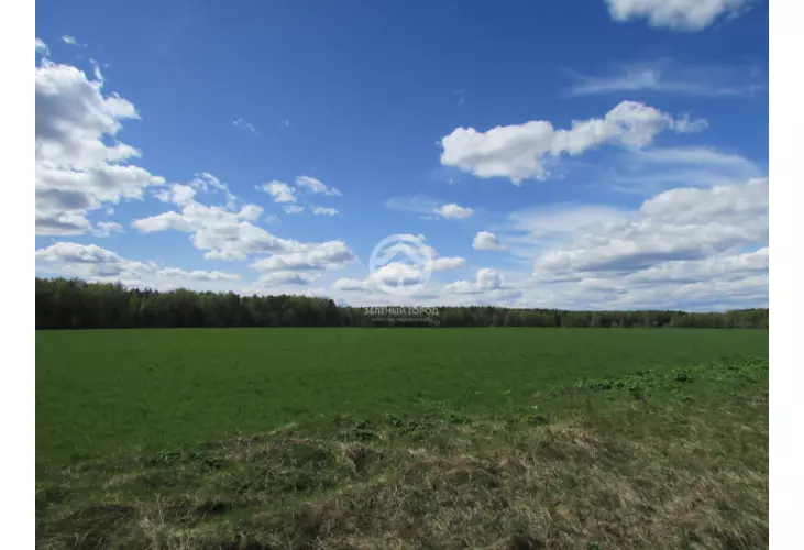 Продажа, участок, Минино, 14 сот