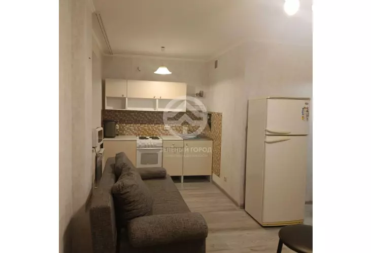 Аренда, студия, рабочий поселок Андреевка, Староандреевская , д. 43, к. 2