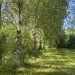 Продажа, дача, СНТ Дружба, 93 кв.м, 6 сот