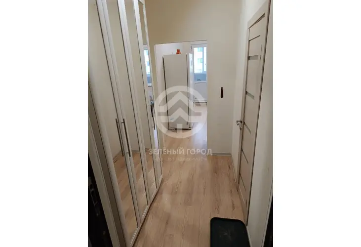 Аренда, студия, деревня Голубое, Зелёный проезд, д. 2