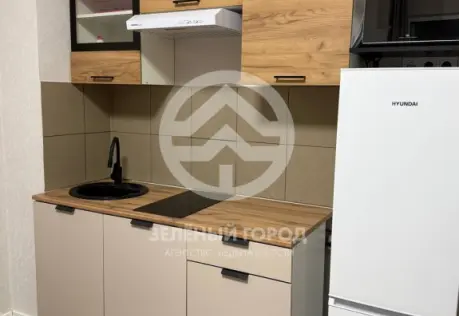 Продажа, студия, деревня Голубое, Трехсвятская, д. 6