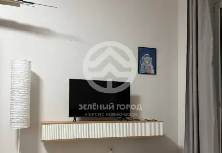 Продажа, студия, деревня Голубое, Трехсвятская, д. 6