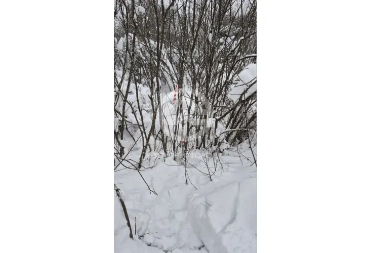 Продажа, участок, село Озерецкое, 10 сот