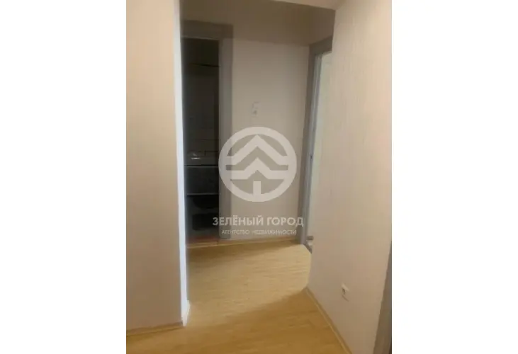 Аренда, 1 к. квартира, Зеленоград, к. 2033