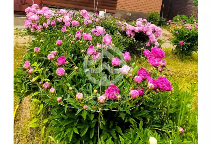 Продажа, дом, Карпово, 135 кв.м, 12 сот