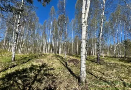 Продажа, участок, Саньково, 9 сот