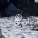 Продажа, участок, Замятино, 8,5 сот