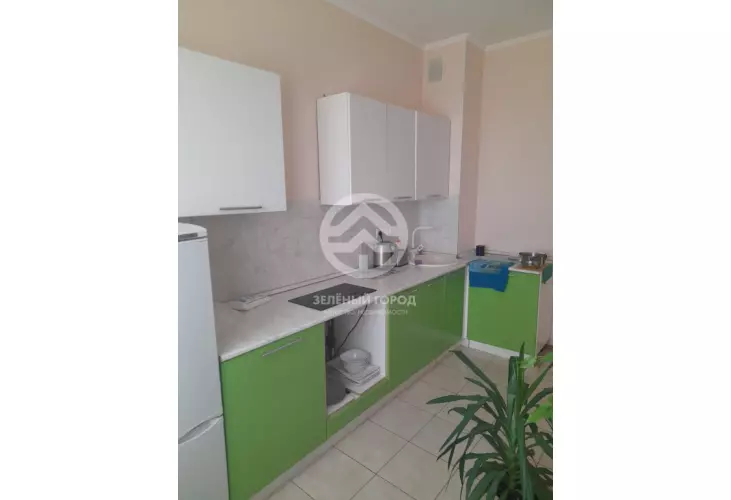 Продажа, 1 к. квартира, деревня Голубое, Трехсвятская , д. 13