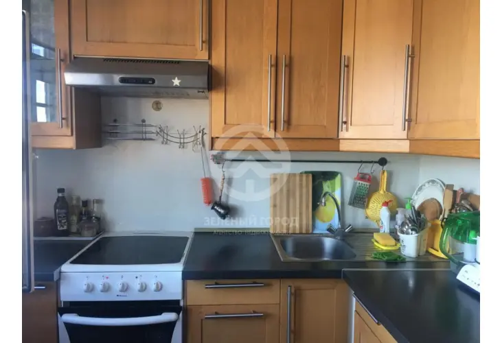 Продажа, 1 к. квартира, деревня Голубое, Родниковая, д. 4